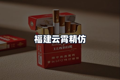 福建云霄精仿